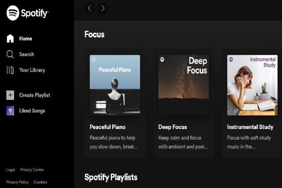 Spotify Web Player